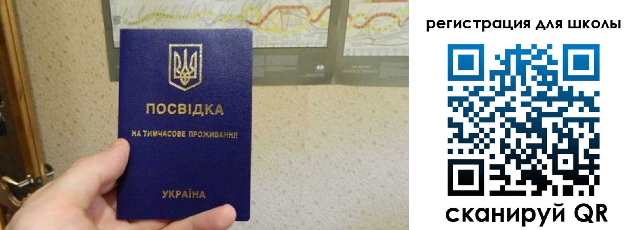 временная прописка в Каменке